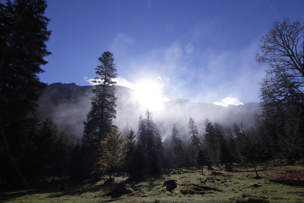 Neue Energie für das, was Sie bewegt - Lichterloh Coaching in München bringt Sie in Bewegung