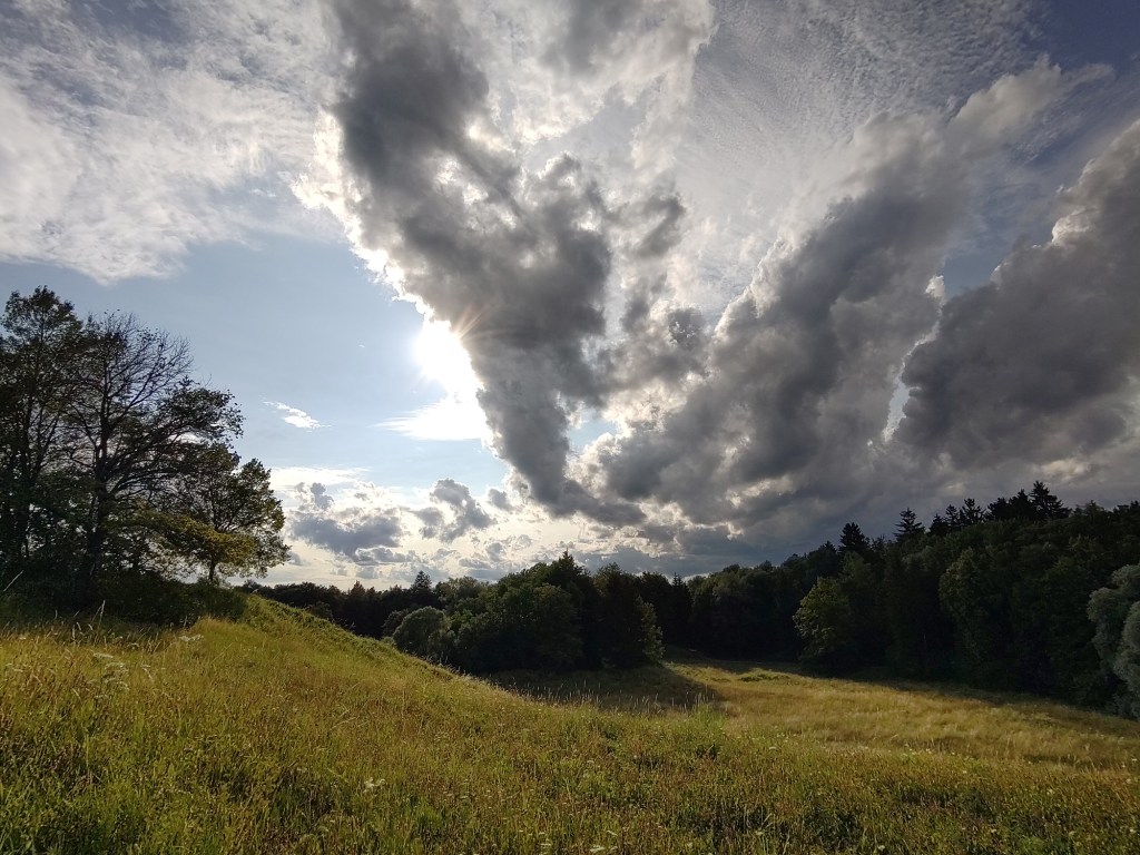 Naturraum von Lichterloh Coaching in München